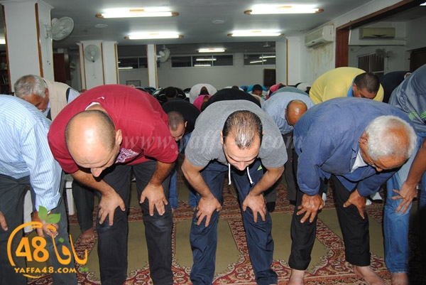 tarawe7 noorei (25).JPG